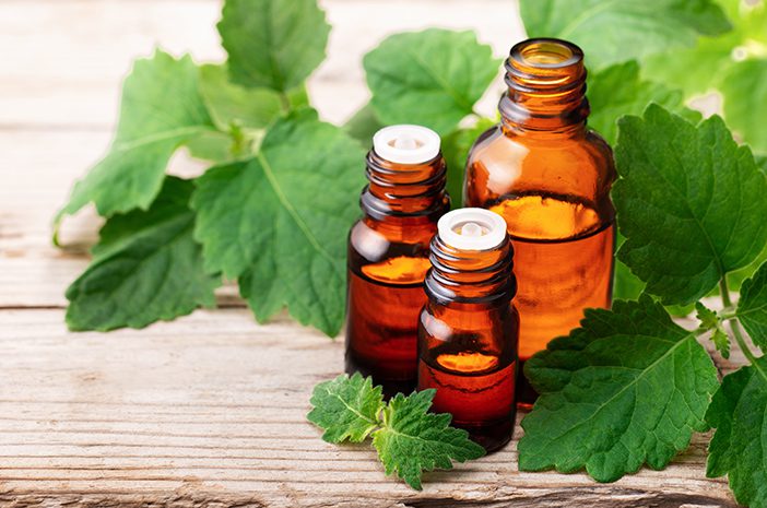 Patchouli Oil for Hair Growth: Benefits, Application Guide & What Hair Care Brands Need to Know 1 patchouli oil for hair