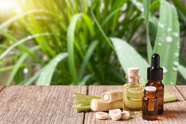lemongrass oil global essential oil