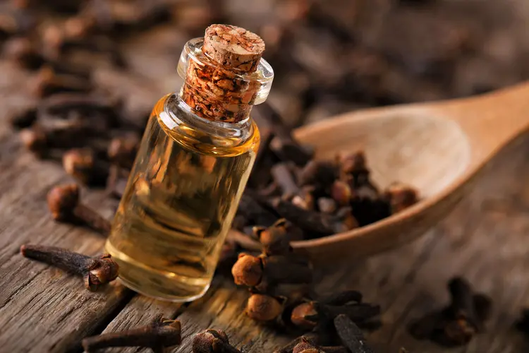 clove oil